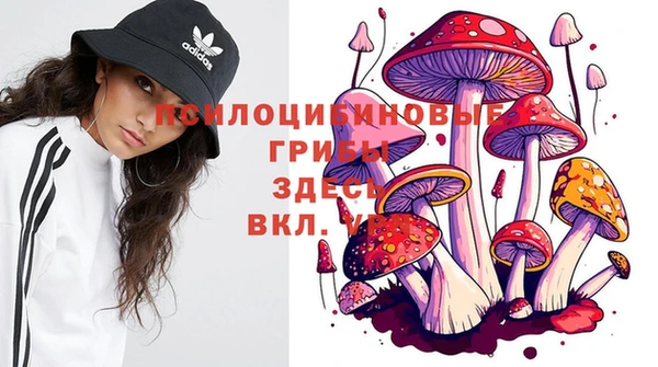 соль ск Беломорск