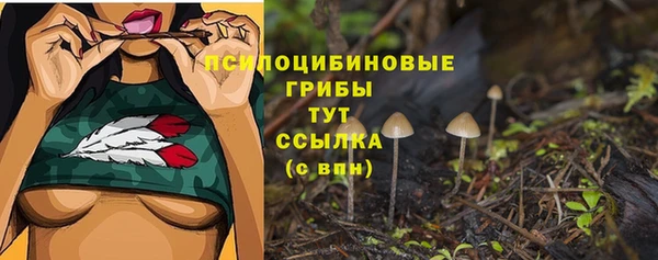 соль ск Беломорск