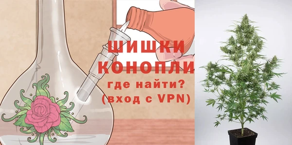 гашик Белоозёрский